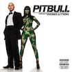 I Know You Want Me (Calle Ocho) by Pitbull
