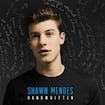 Stitches by Shawn Mendes