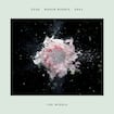 The Middle by Zedd, Maren Morris, & Grey
