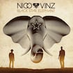 Am I Wrong by Nico & Vinz